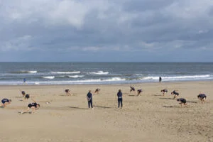 droogtraining schaatsen strand katwijk spruit sportcoaching